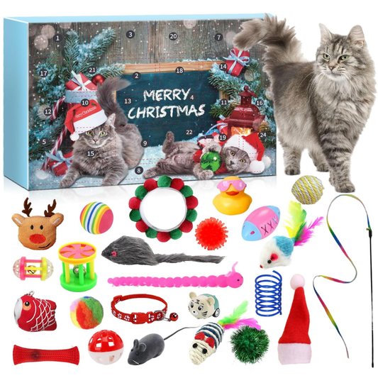 Calendario De Adviento Para Gatos