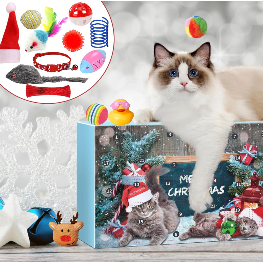 Calendario De Adviento Para Gatos