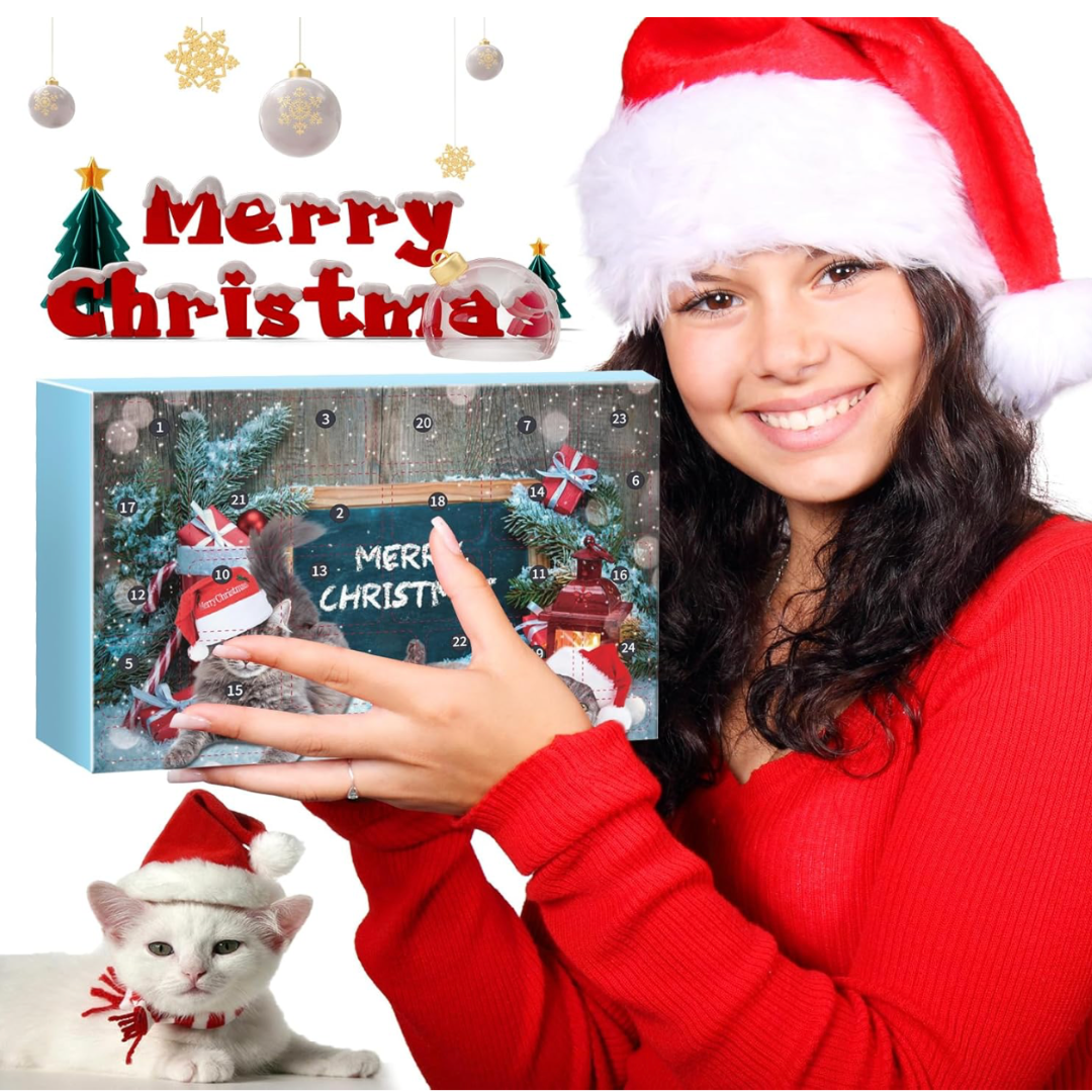Calendario De Adviento Para Gatos